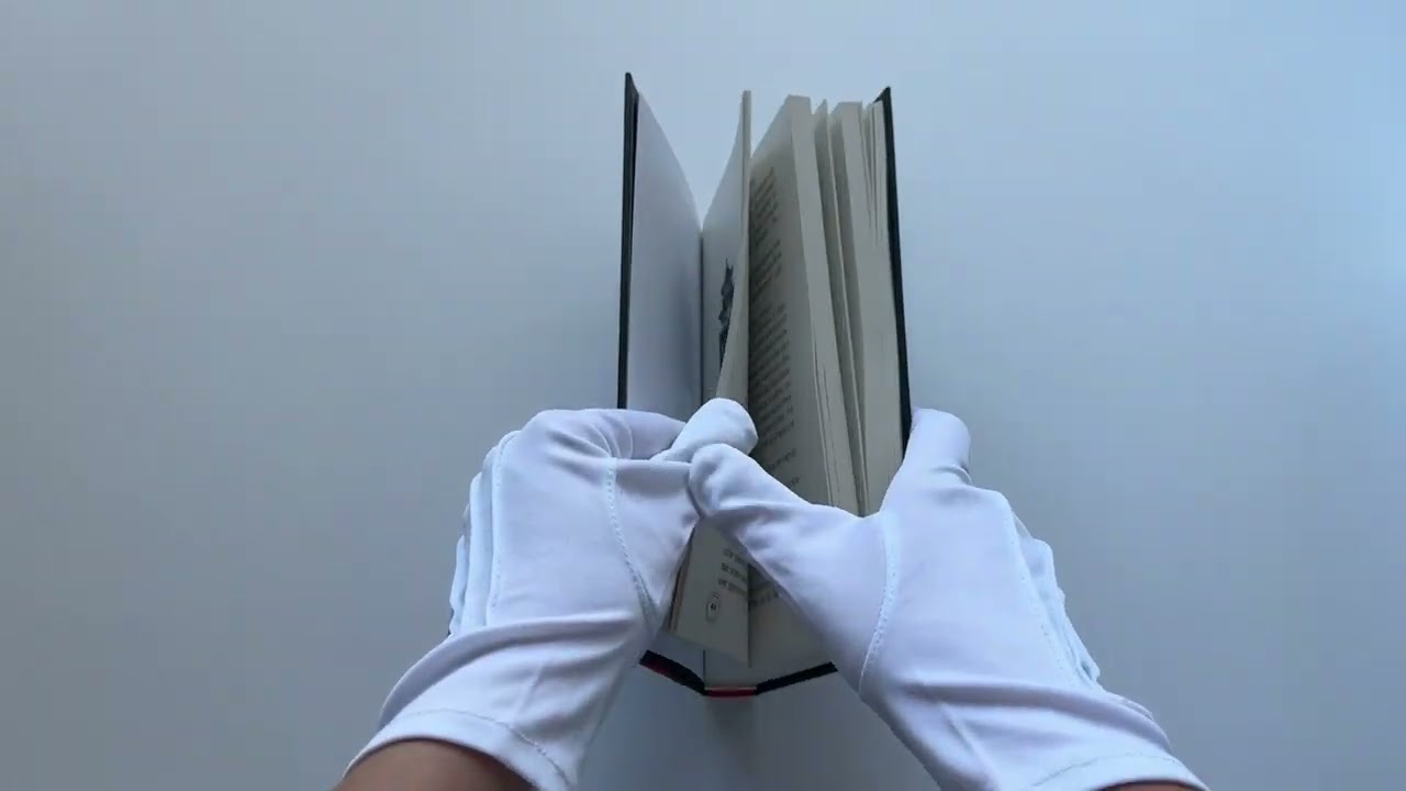Книга Сомневающийся убийца (Цзюньлинь Чэнь) — 3