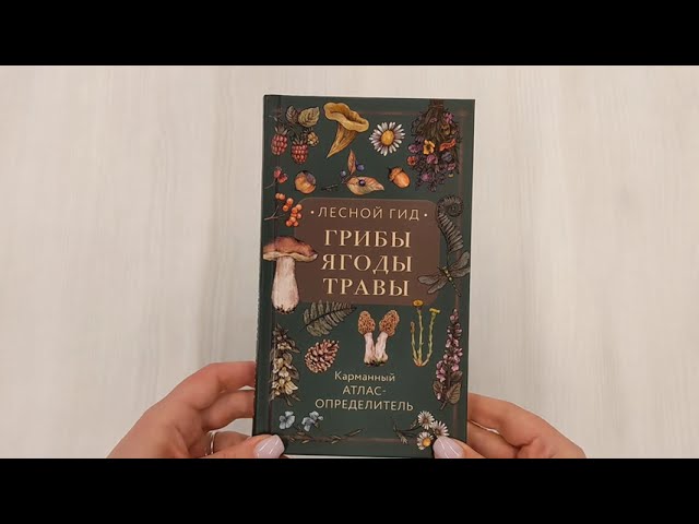 Книга Лесной гид: грибы, ягоды, травы. Карманный атлас-определитель (Людмила Семенова) — 3