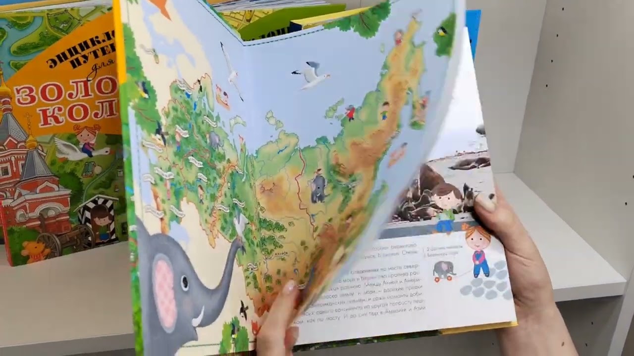 Книга Россия (Любовь Бросалина) — 3