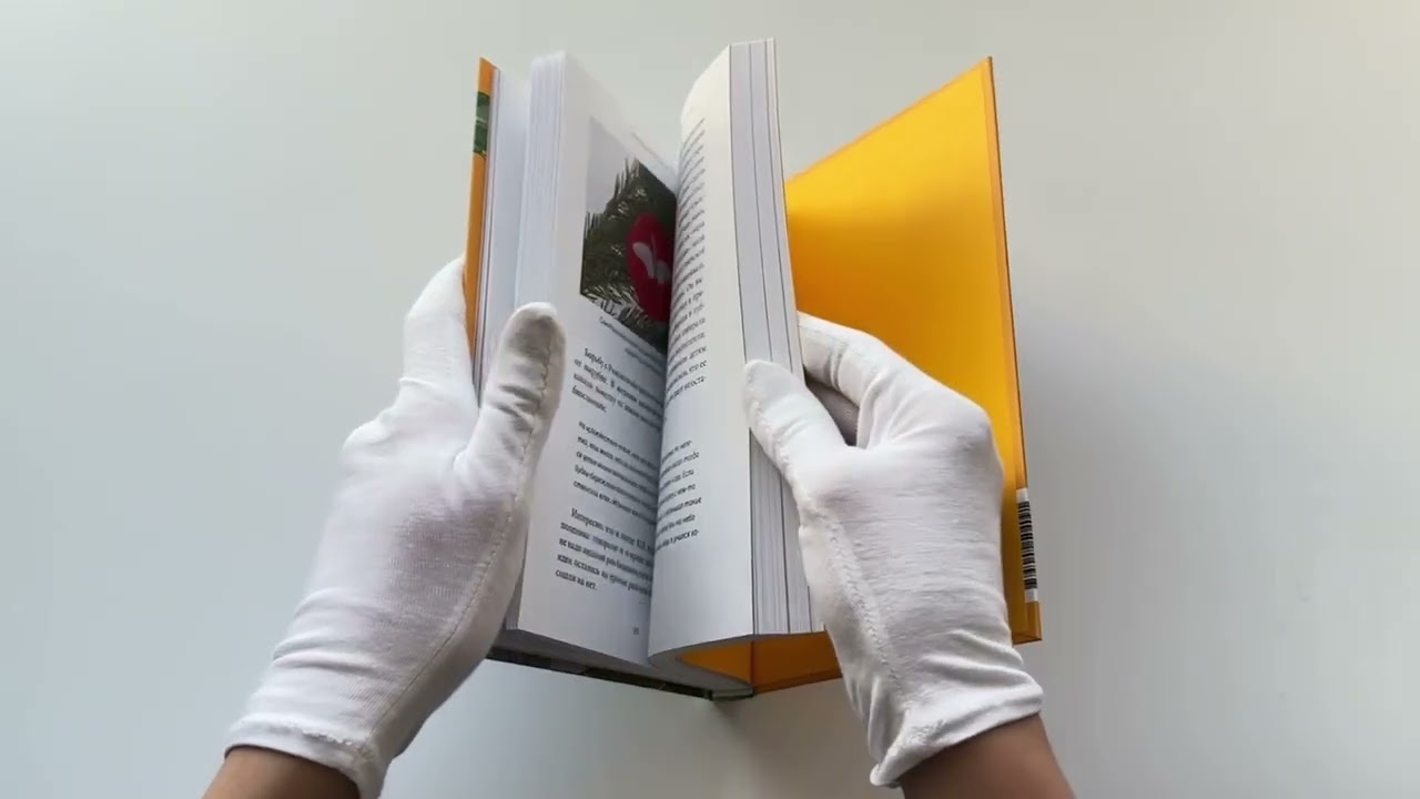 Книга Русская елочная игрушка. Козули, космонавты и бонбоньерки в истории самого любимого праздника (Екатерина Мокрушева) — 3