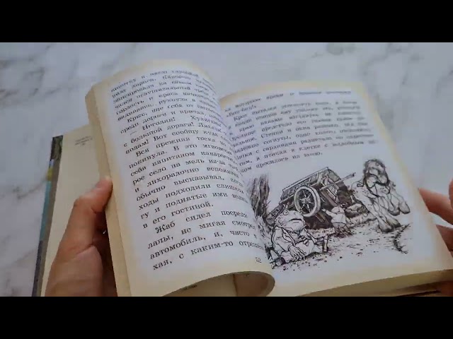 Книга Ветер в ивах (ил. Д. Петерсена) (Кеннет Грэм) — 3