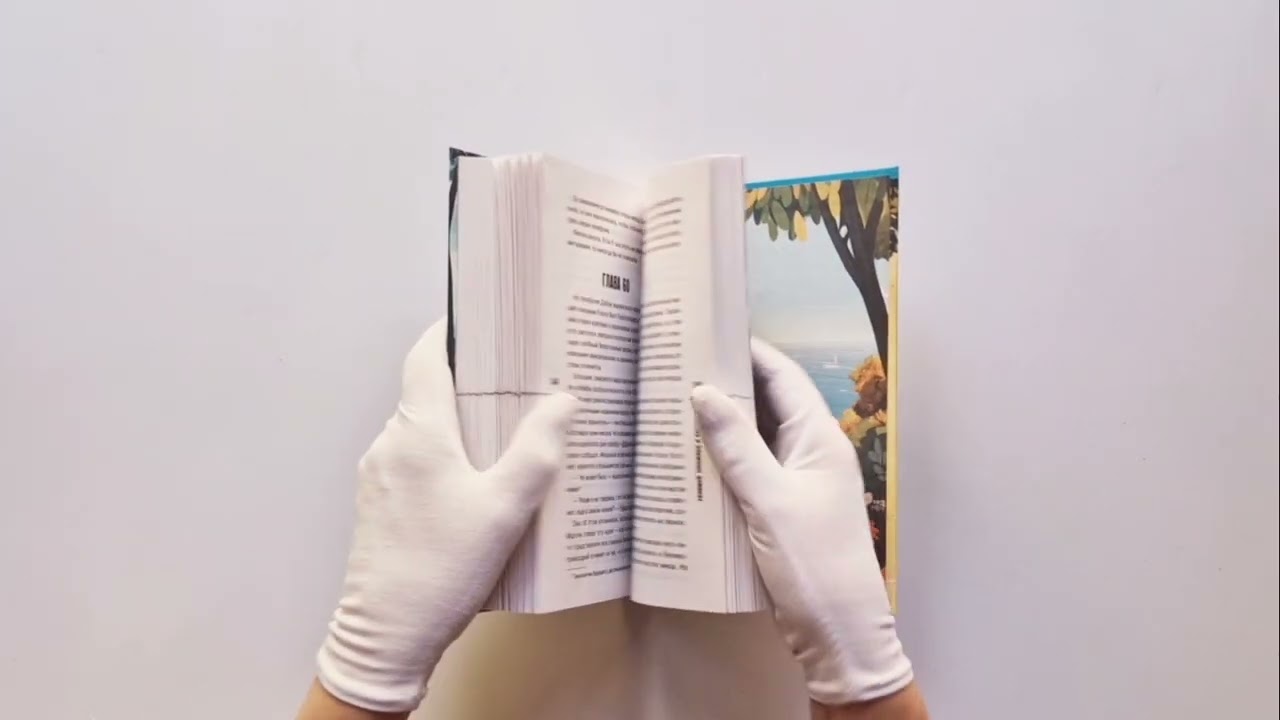 Книга Убийства в пляжных домиках. Детективное агентство «Благотворительный магазин» (#2) (Питер Боланд) — 3