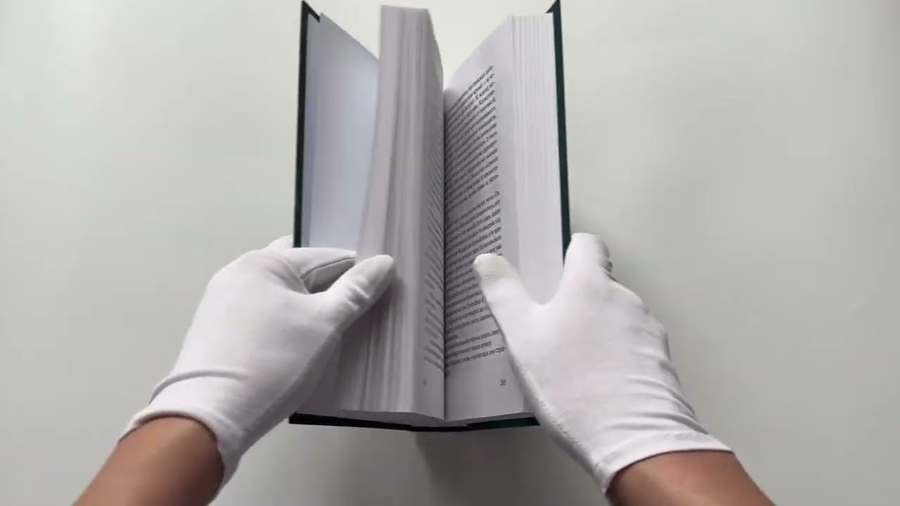 Книга Самолет без нее (Мишель Бюсси) — 3