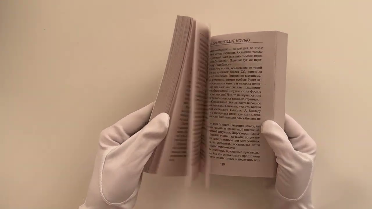 Книга Палач приходит ночью (Валерий Шарапов) — 3