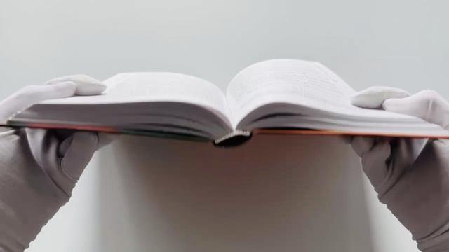 Книга Если ты выберешь уйти (Мика Мисфор) — 3