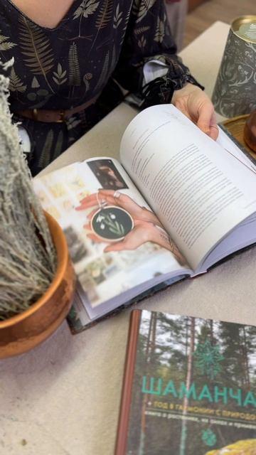 Книга Шаманчай: год в гармонии с природой. Книга о растениях, их силах и применении (Валентина Левченко, Анастасия Кузина) — 3