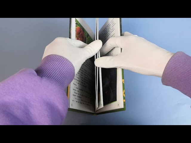 Книга Барбоскины. Летние приключения () — 3