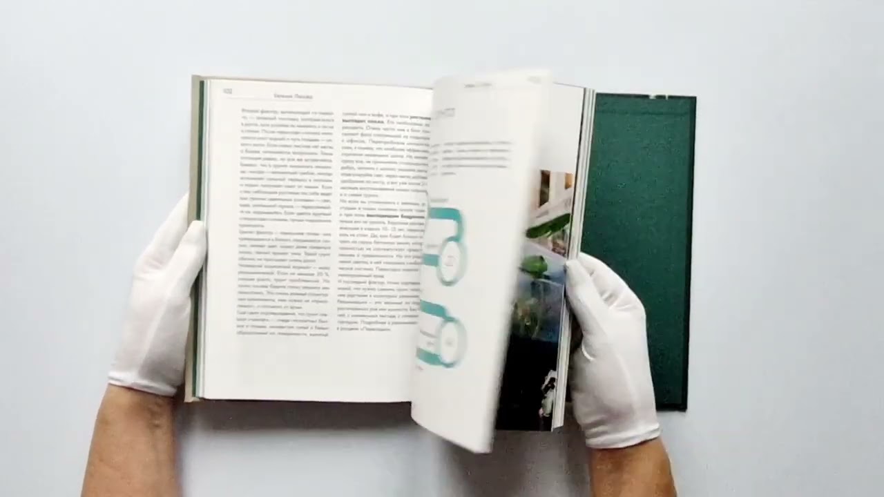 Книга Заклинатель комнатных растений. Секретные лайфхаки от профессионального цветовода (Евгения Лисова) — 4