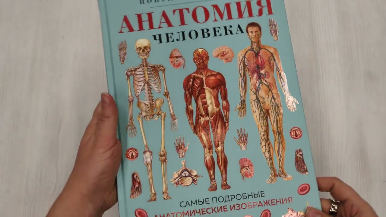 Книга Анатомия человека. Популярный атлас. Самые подробные анатомические изображения () — 3