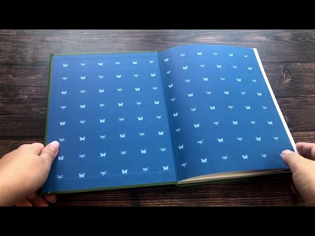 Книга Питер Пэн (ил. Г. Хильдебрандта) (Джеймс Барри) — 3