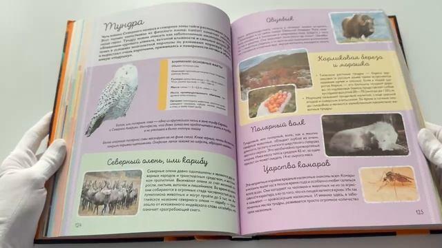 Книга Гигантская энциклопедия (Ирина Барановская) — 3
