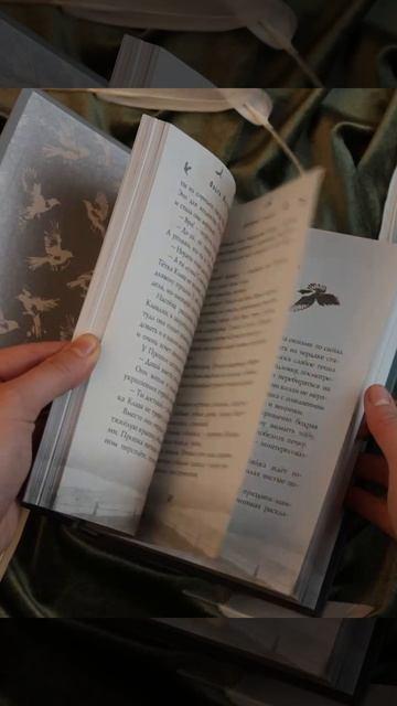 Книга Сорочье гнездо (Ольга Пустошинская) — 3