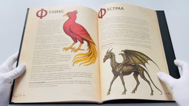 Книга Магический бестиарий. Волшебные существа из Гарри Поттера (Гризельда Фогг) — 3