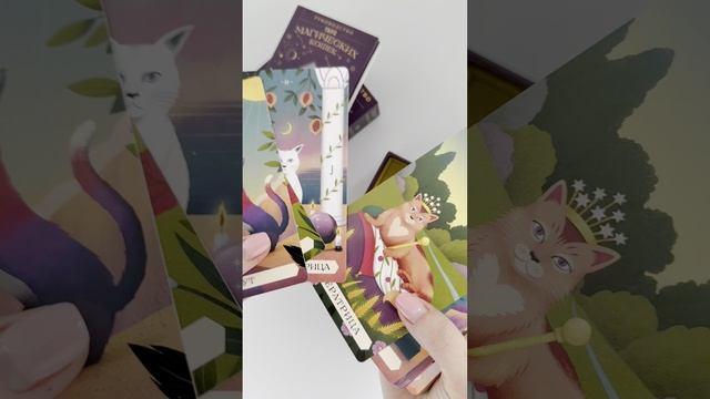 Книга Таро магических кошек (78 карт и руководство к колоде) (Бетти Греко) — 3