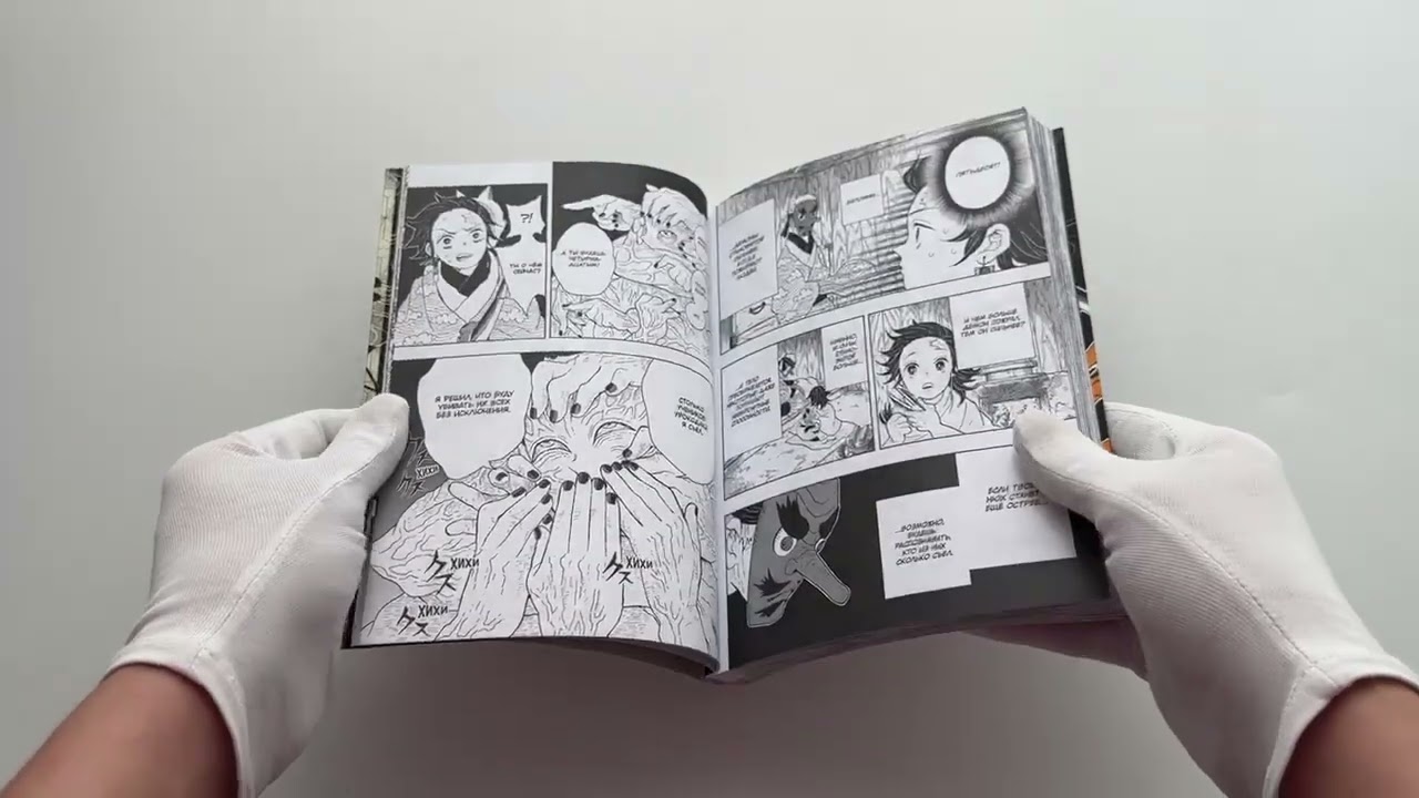 Истребитель демонов. Том 1 (Клинок, рассекающий демонов / Demon Slayer: Kimetsu no Yaiba). Манга 2912095 — 3