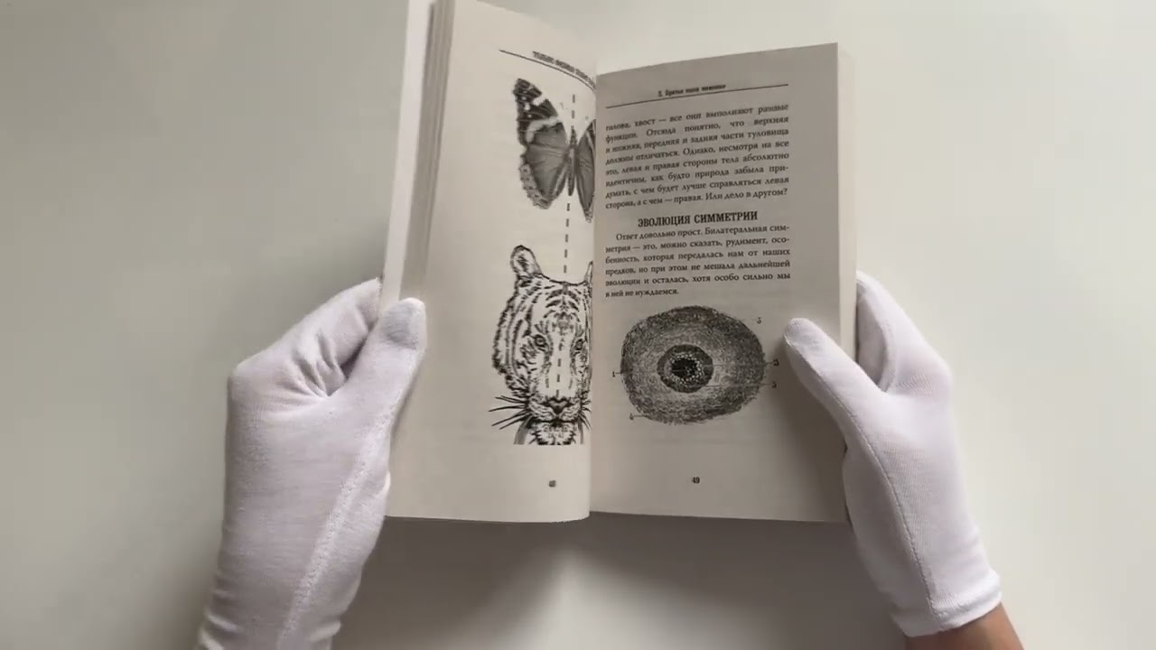 Книга Только физика! Только хардкор! (Дмитрий Побединский) — 3
