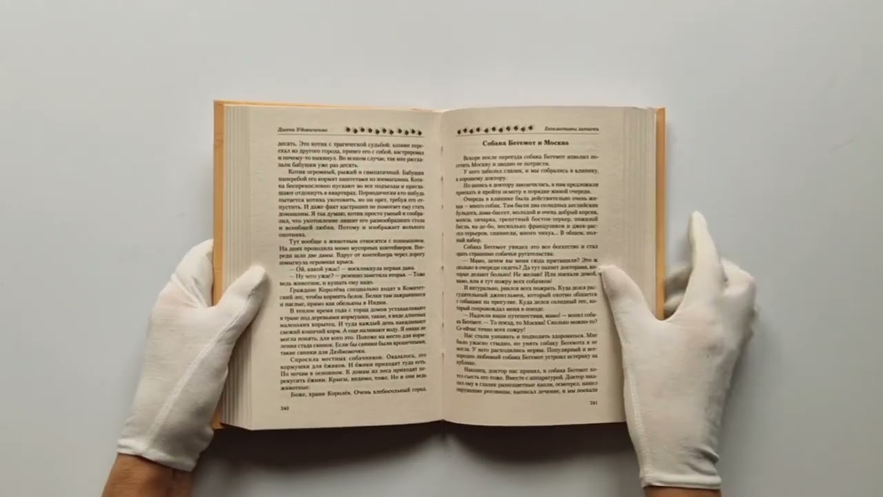 Книга Бегемотовы записки (Диана Удовиченко) — 3