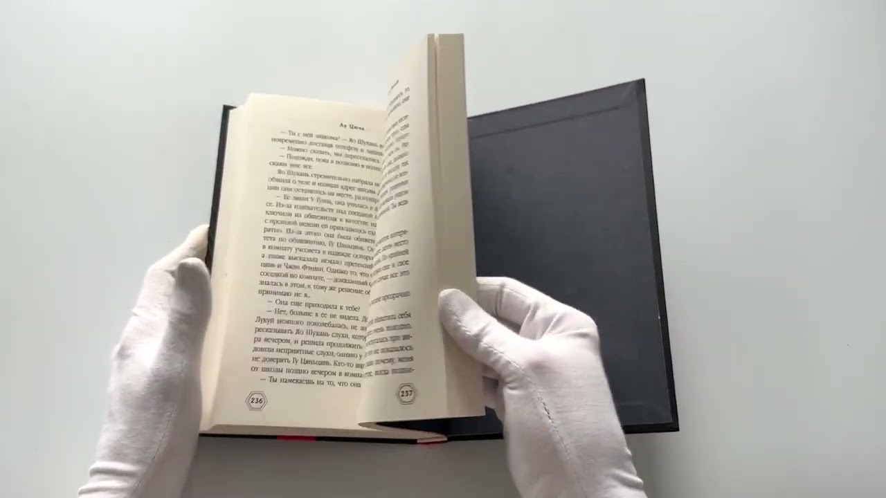 Книга Тогда и только тогда, когда снег белый (Цюча Лу) — 3