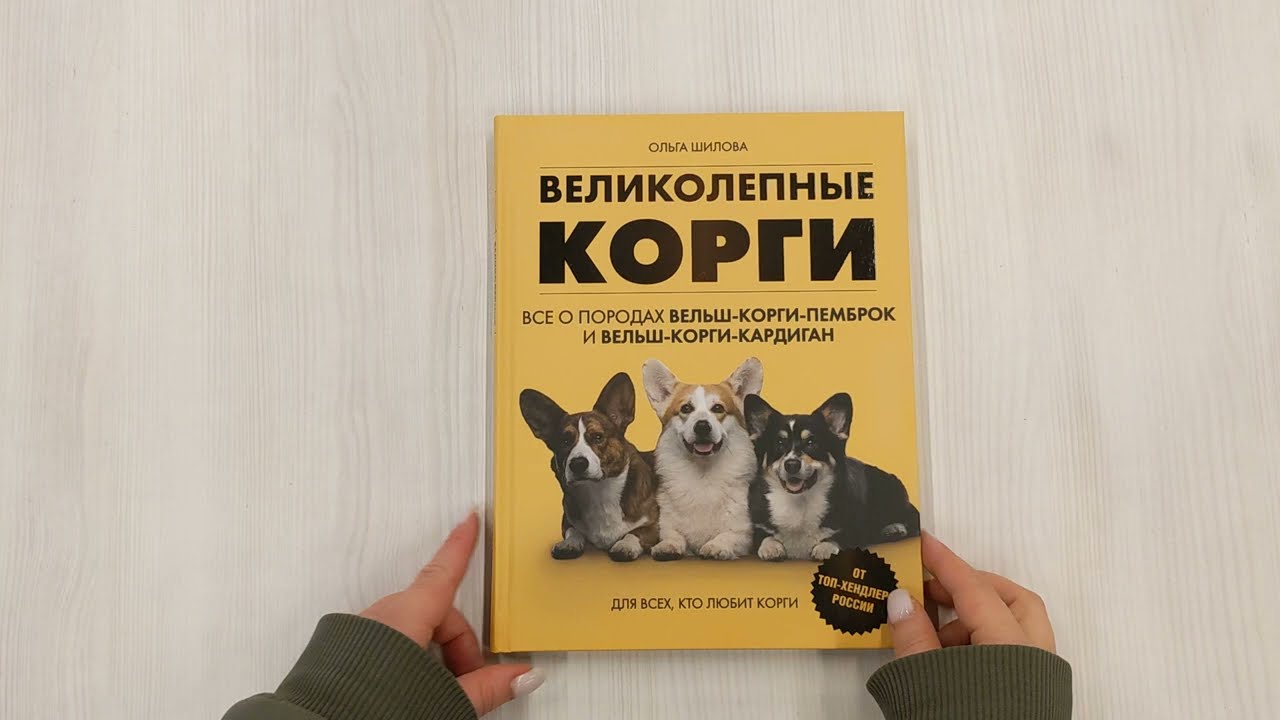 Книга Великолепные корги. Все о породах вельш-корги-пемброк и вельш-корги-кардиган (Ольга Шилова) — 3