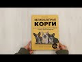 Великолепные корги. Все о породах вельш-корги-пемброк и вельш-корги-кардиган — 3035313 — 3