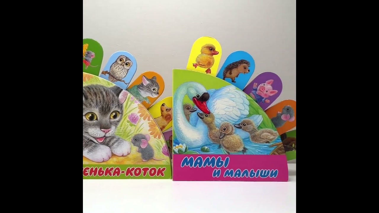 Книга Теремок (В.П. Аникин) — 3