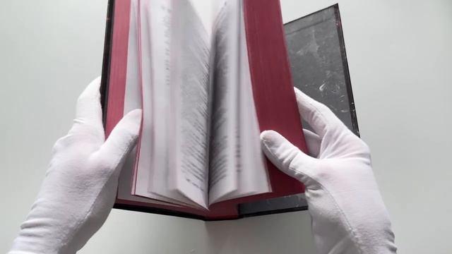 Книга Охотясь на Аделин. Специальное издание (Х. Д. Карлтон) — 3