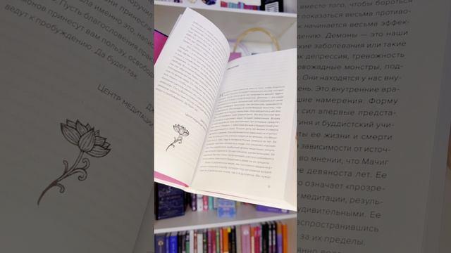 Книга Накорми своих демонов. Практика для разрешения внутренних конфликтов (Цултрим Аллионе) — 3
