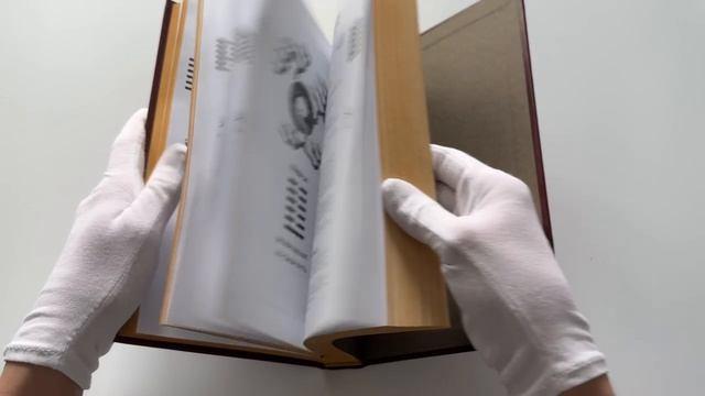 Книга Власть. 64 стратегии удержания и передачи по Книге Перемен. Подарочное издание с вырубкой и цветным обрезом (Бронислав Виногродский) — 3