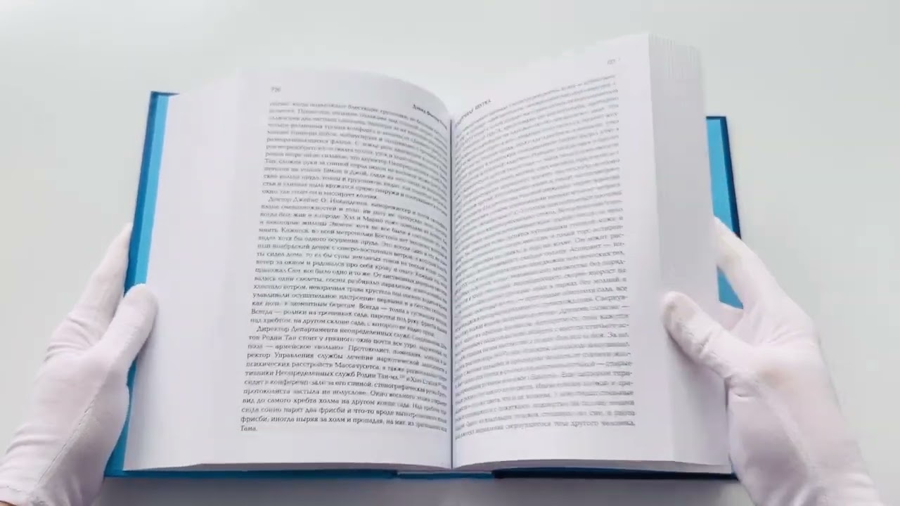 Книга Бесконечная шутка (Дэвид Уоллес) — 3