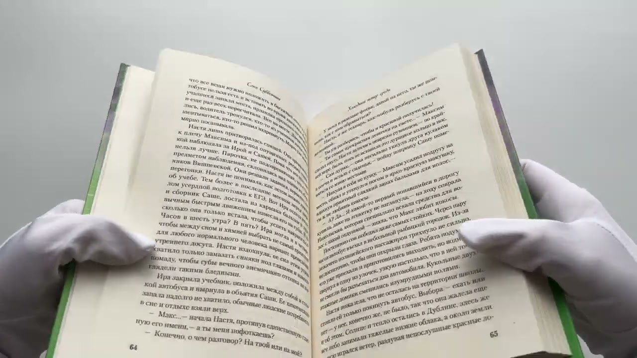 Книга Холодный ветер среды (Соня Субботина) — 3