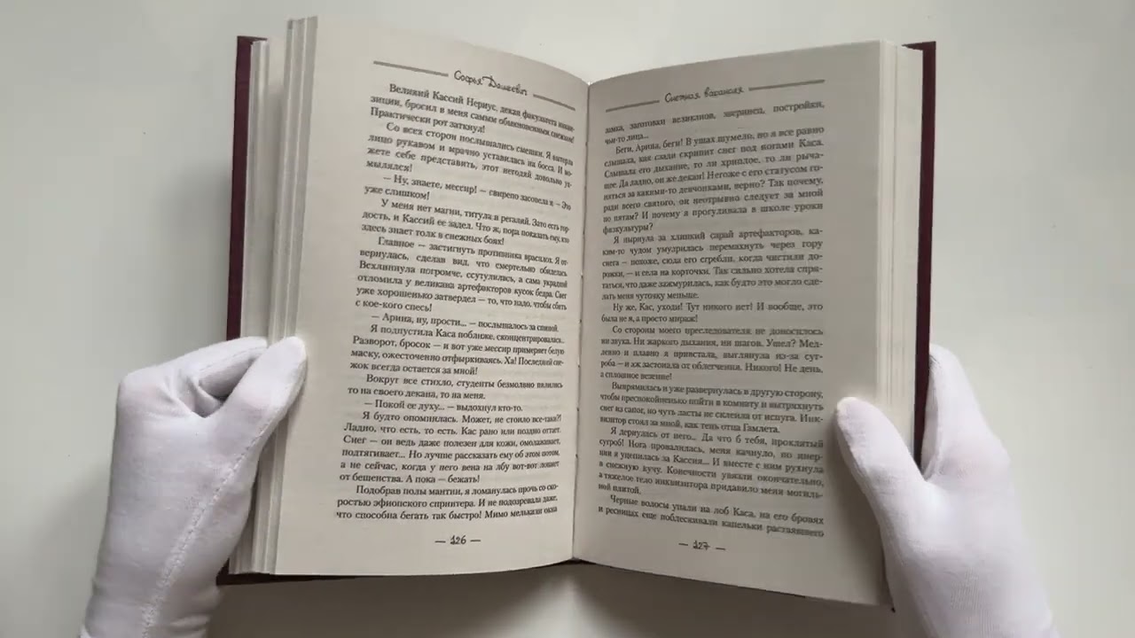 Книга Снежная вакансия (Софья Дашкевич) — 3