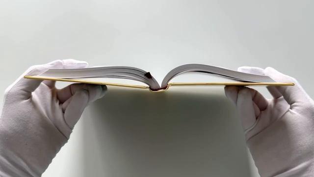 Книга Пикник на обочине (Борис Стругацкий, Аркадий Стругацкий) — 3