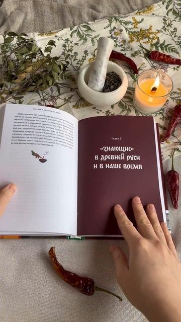 Книга Знахари и колдуны на Руси. Травники, костоправы, повивальные бабки и другие “знающие” (Галина Поповкина) — 3