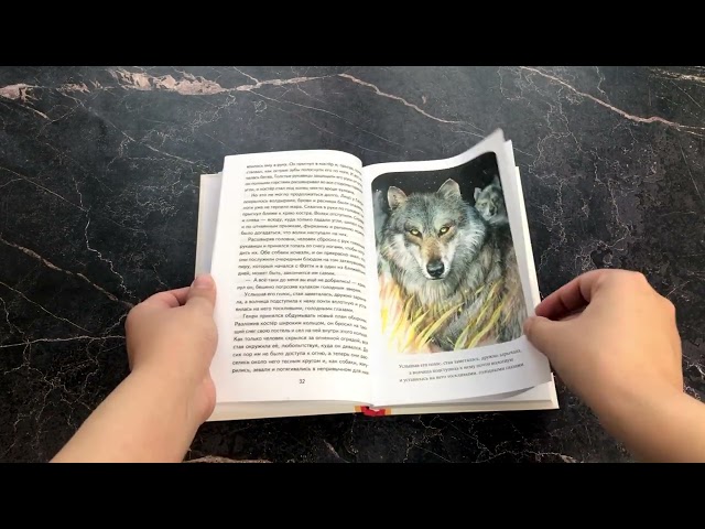 Книга Белый Клык (ил. В. Канивца) (Джек Лондон) — 3