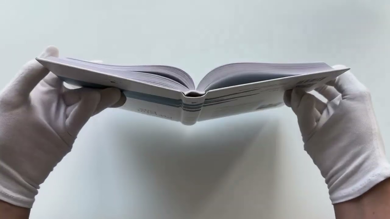 Книга Чайка Джонатан Ливингстон. Иллюзии. Карманный справочник Мессии (Ричард Бах) — 3