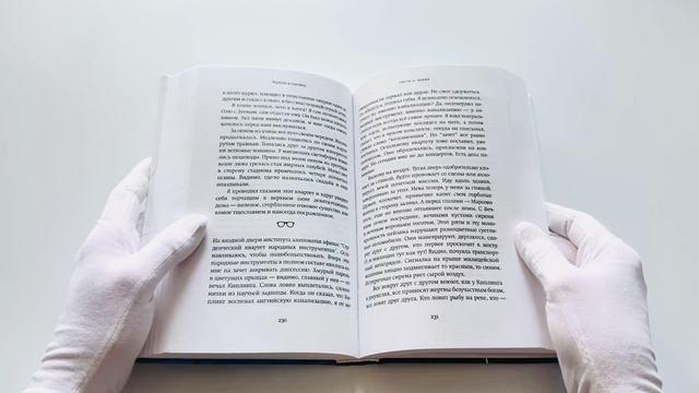 Книга Зеркала и паутина (Андрей Аствацатуров) — 3