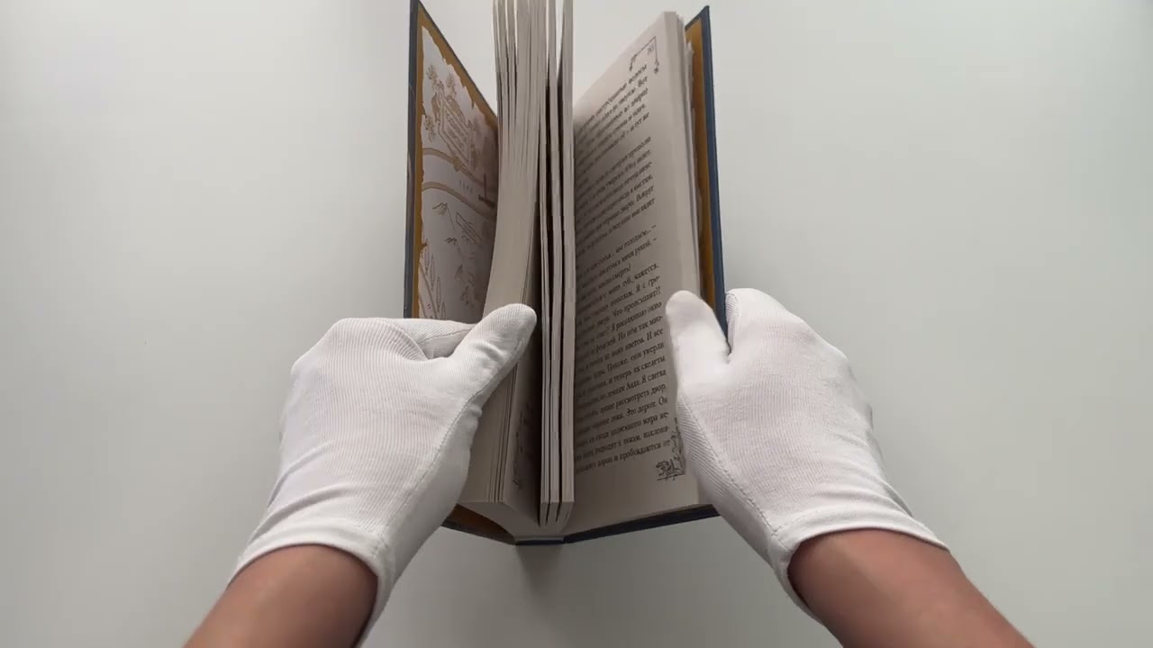 Книга Меня зовут Персефона (Даниэль Колуззи) — 3