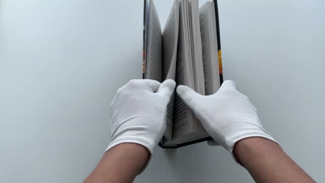 Книга В.В. Тетрадь с рисунками на полях (Анонимус) — 3
