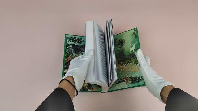 Книга Проклятие серебристых волков (Сабрина Дж. Киршнер) — 3