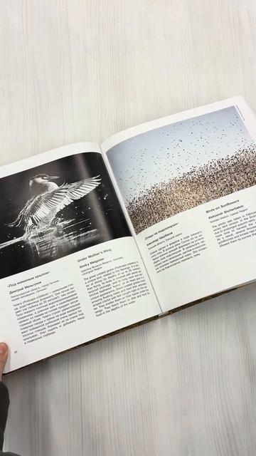Книга Россия самая красивая страна. Фотоконкурс 2025 () — 3