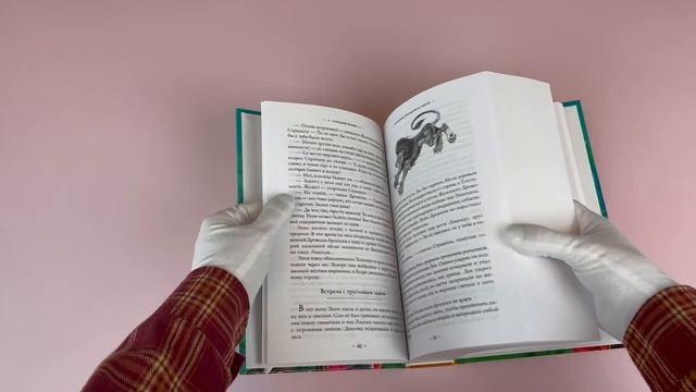 Книга Волшебник Изумрудного города: все путешествия в Волшебной стране (Александр Волков) — 3