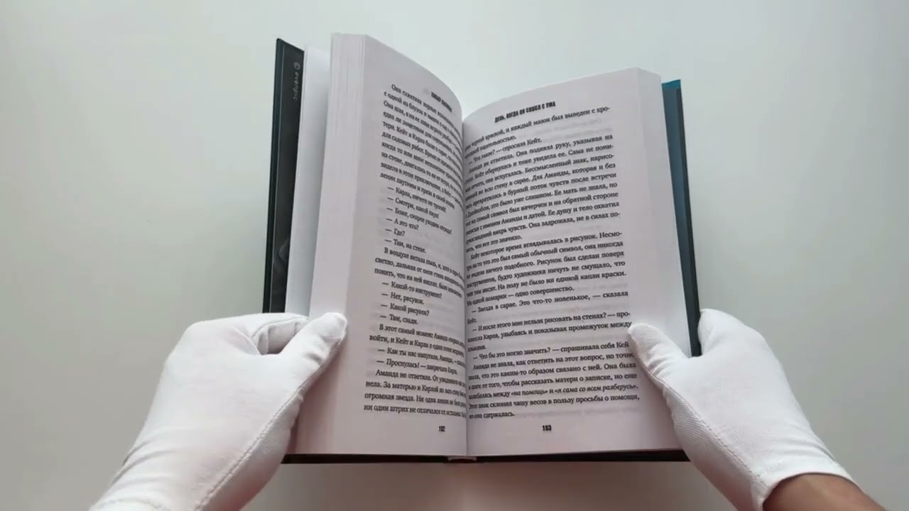 Книга День, когда он сошел с ума (Хавьер Кастильо) — 3