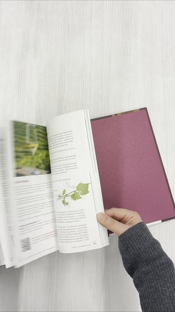 Книга Вино России. История, география, выбор. Новое издание (Елена Горбачева) — 3