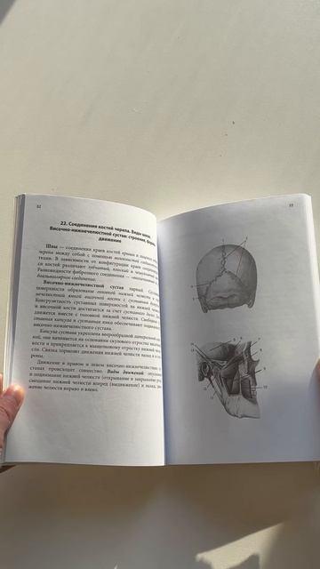 Книга Тетрадь-шпаргалка по анатомии (Елена Зигалова, Габриэль Билич) — 3