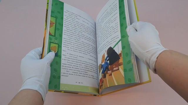 Книга Ветер в ивах (ил. Дин Сяожун) (Кеннет Грэм) — 3