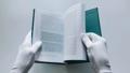 Мифы Суздаля. От реки Нерли и змеевика до коня князя Пожарского и колокольного звона — 3149806 — 3