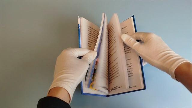 Книга Иван Царевич и Серый Волк 6 (официальная новеллизация с цветными вклейками) () — 3