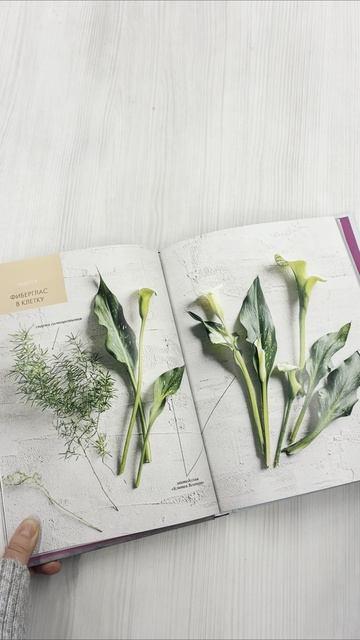 Книга Магия контейнерного сада. Цветочный дизайн террас, веранд, балконов, патио и маленьких садов (Лана Уильямс) — 3