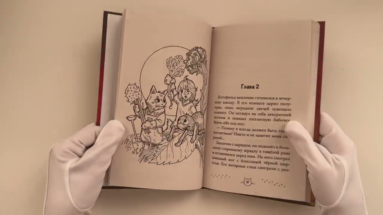 Книга Котофильд в поисках клада (Ольга Соловьёва) — 3