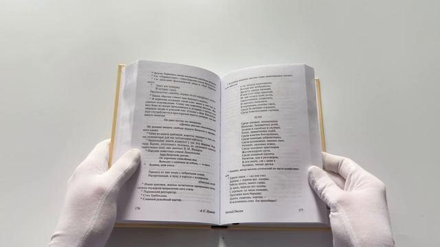 Книга Евгений Онегин  [Борис Годунов  Маленькие трагедии] (Александр Пушкин) — 3